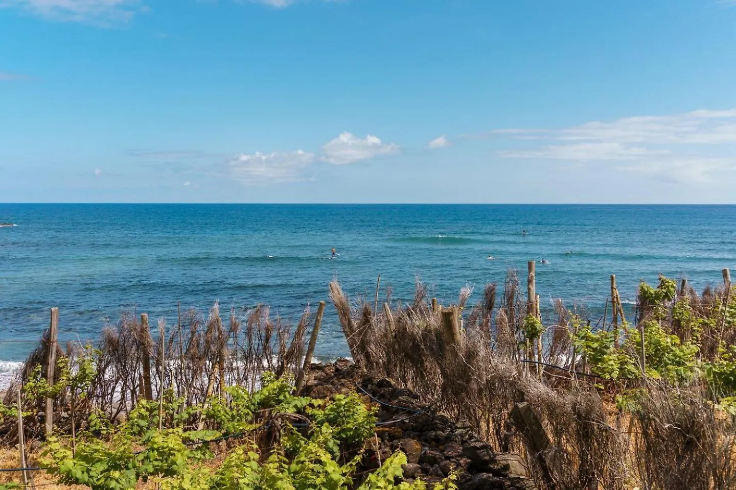 فندق Guestready - Relax & Ride The Waves São Vicente
