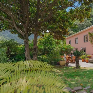 Maison d'hôtes Madeira Surf, São Vicente